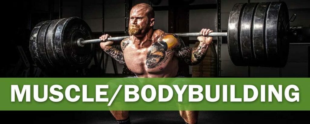 Muscle-Bodybuilding-niche-banner