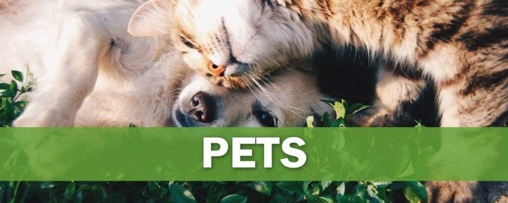 pets-niche-banner