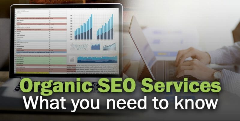 Organic SEO Consultant Services Cover-Image