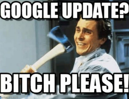 google update bitch please meme