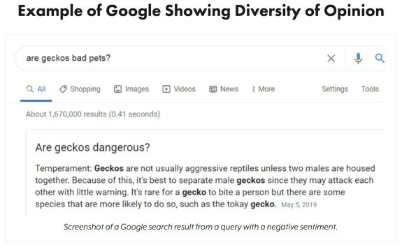 diversity of opinion google search