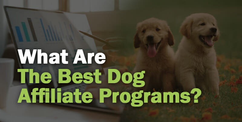 Dog Affiliate Programs Cover Photo