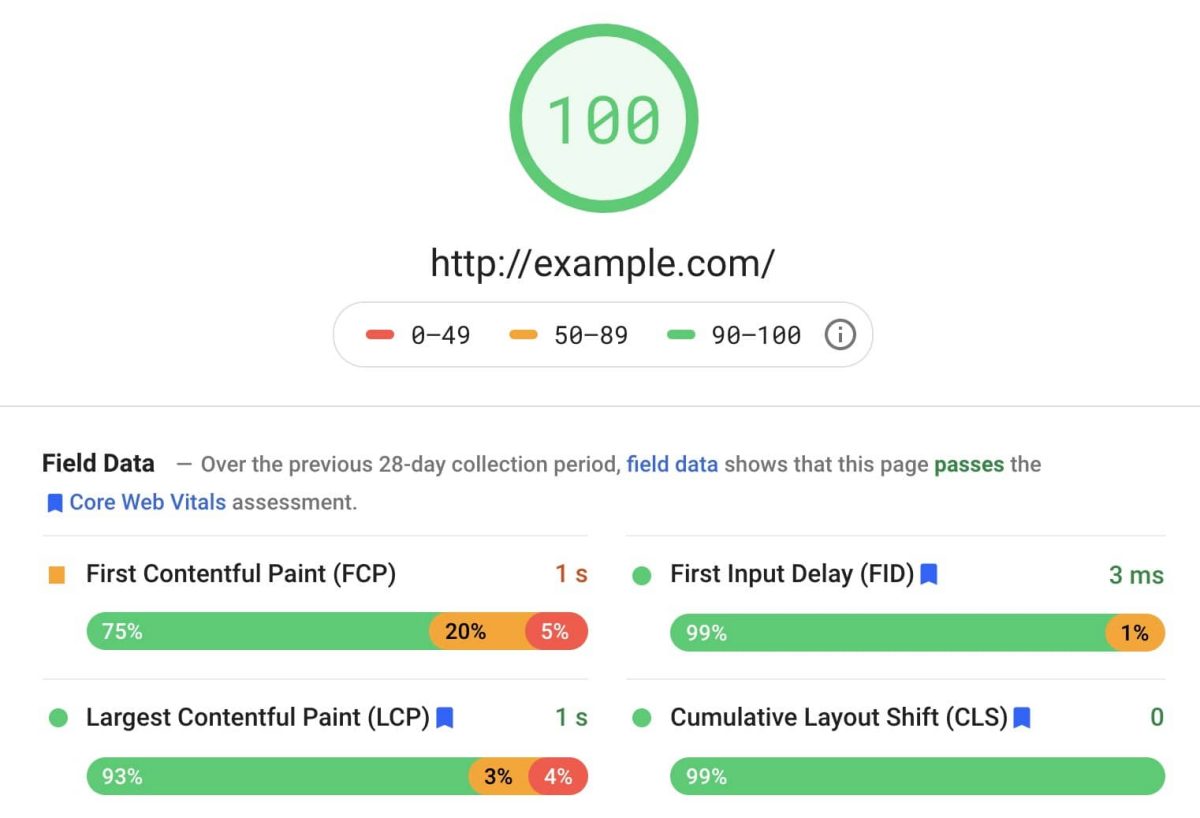 pagespeed insight example result