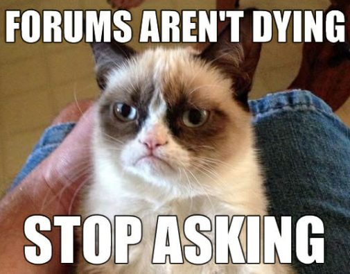 grumpy cat forum meme