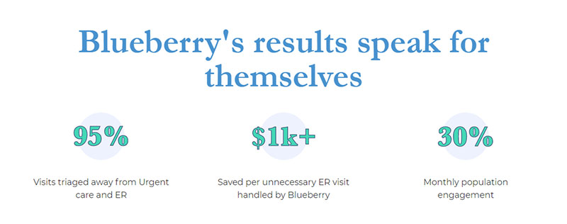 blueberry affiliate program