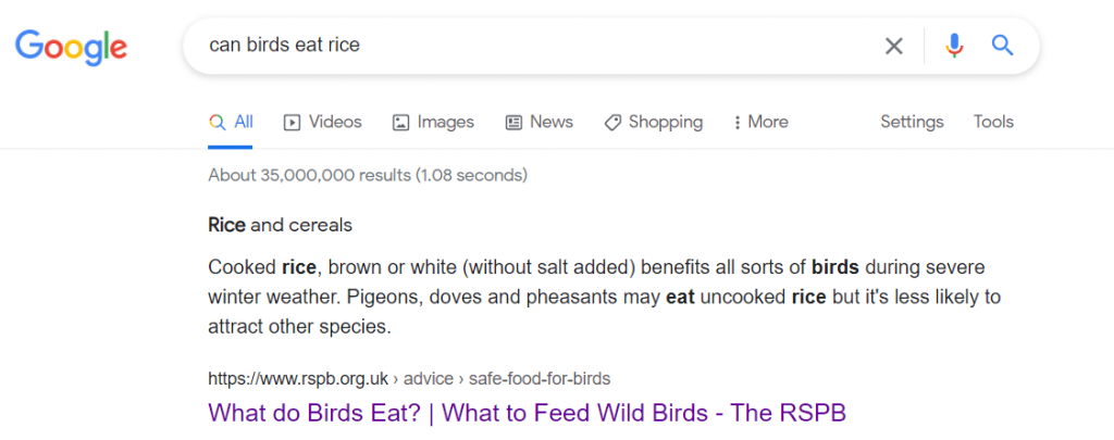 can birds eat rice google search result