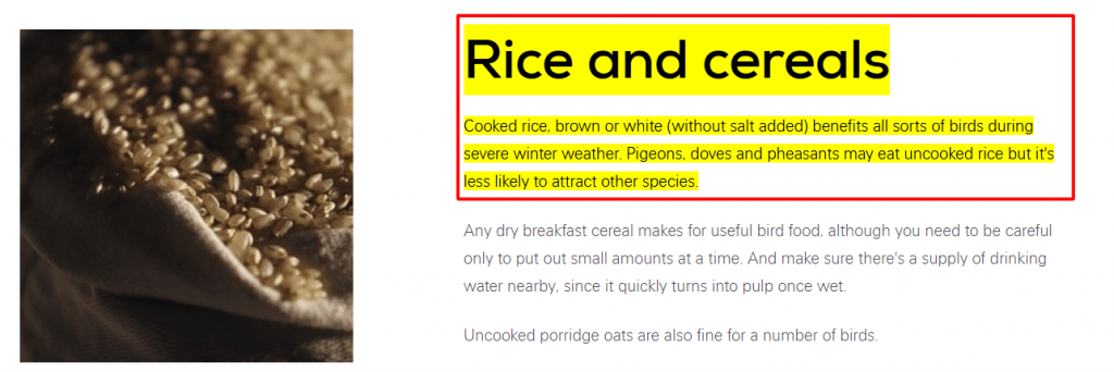 rice and cereals intro article