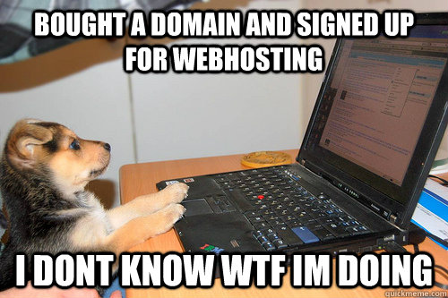 web hosting dog meme