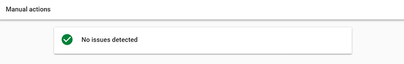 Manual Actions with no issues detected on gsc preview