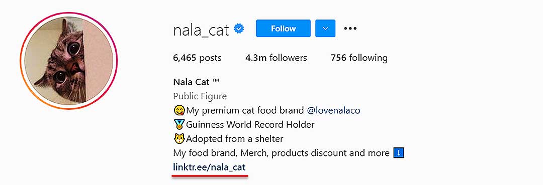 nala_cat instagram page