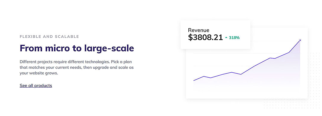 hostinger for large scale businesses