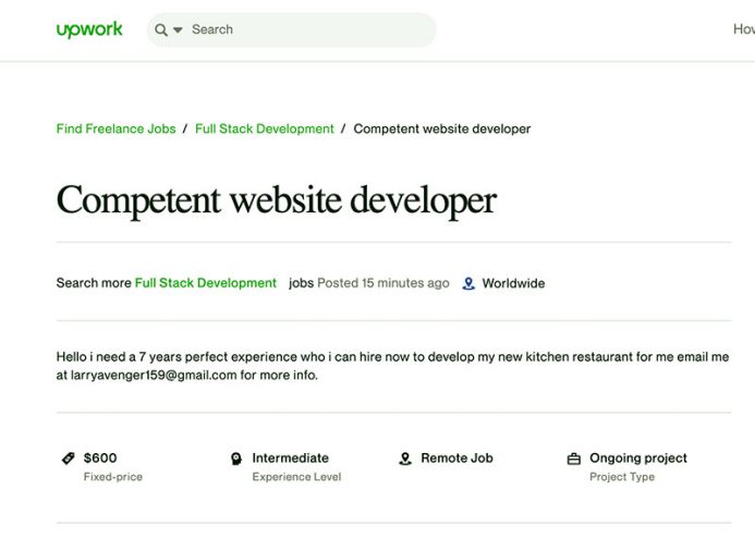 Job Posting for Web Developers Screenshot