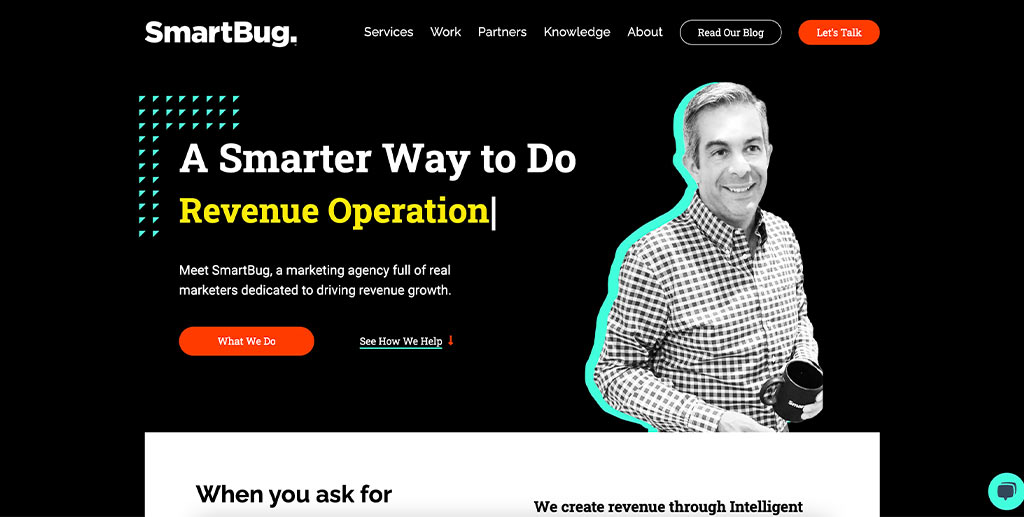 SmartBug Homepage