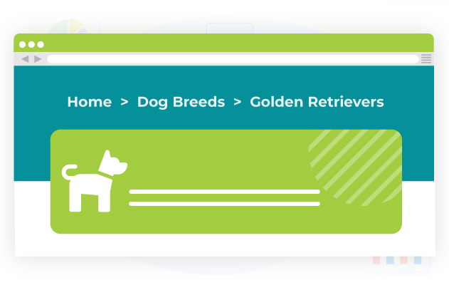 Dog Breed Website