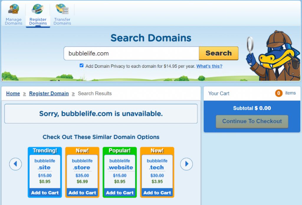 domain registrar companies