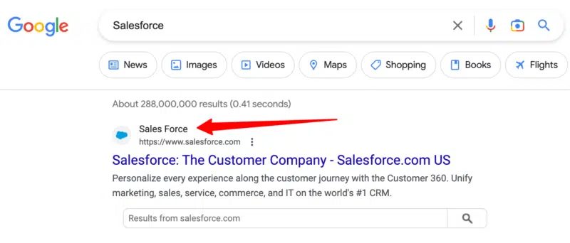 google-site-name-wrong-saleforce