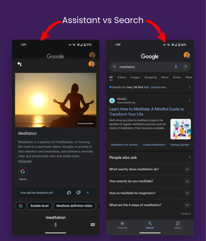 Assistant vs Search